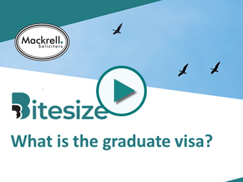 What is the graduate visa?